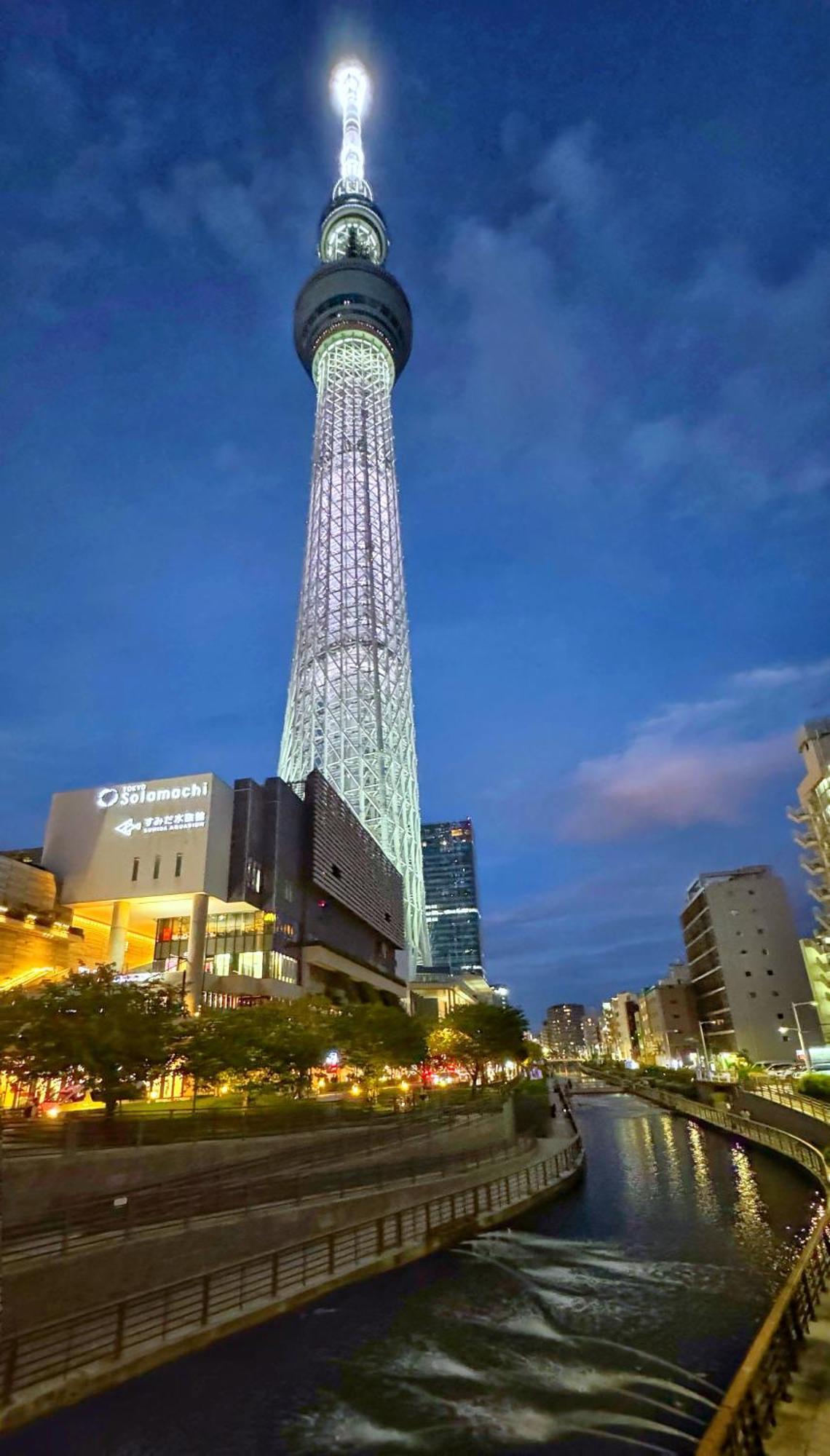 Tokyo Sakura Hotel Buitenkant foto
