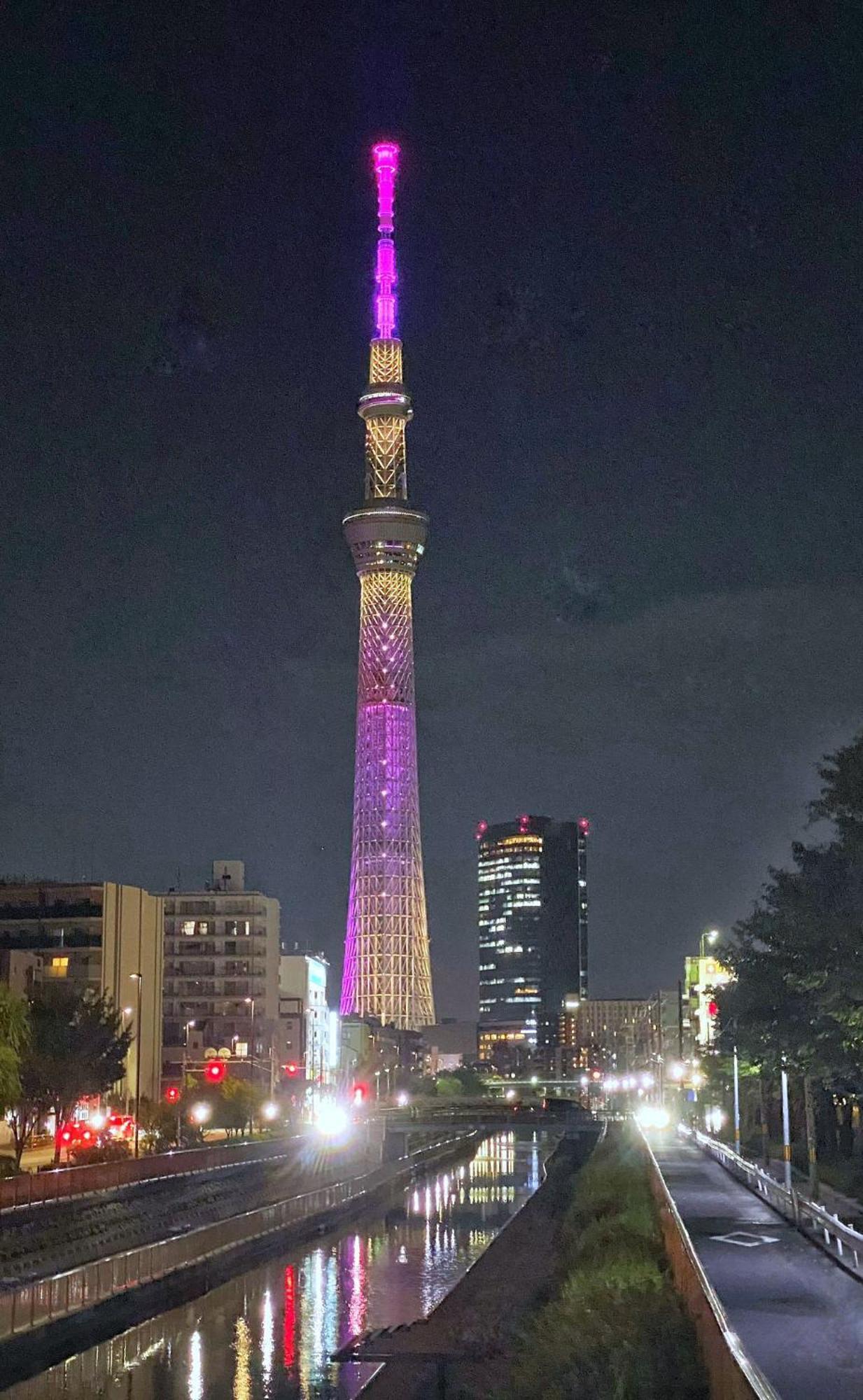 Tokyo Sakura Hotel Buitenkant foto